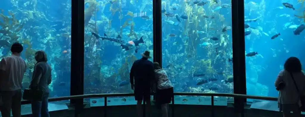 Oman Aquarium